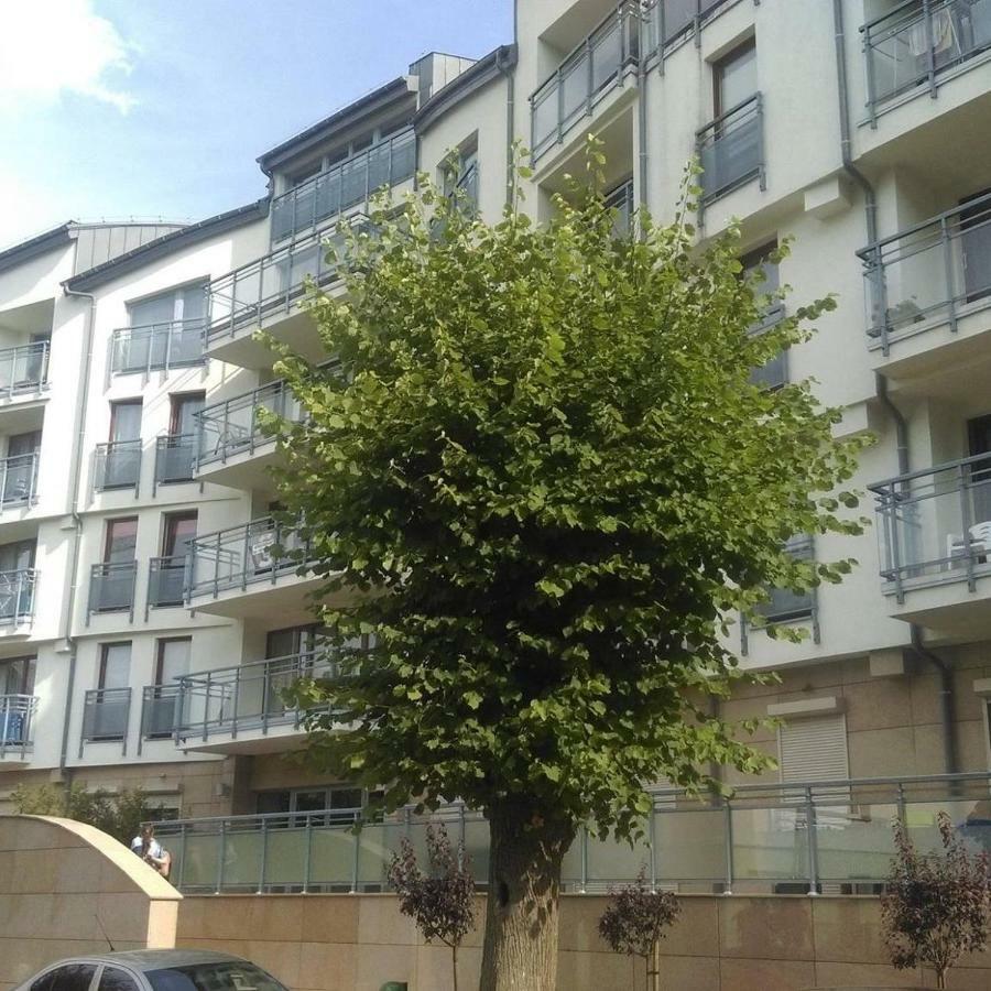 Apartament Flauta, Villa Marea Мендзыздрое Экстерьер фото